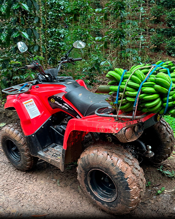 Cuatrimotos Makiba Campo 1