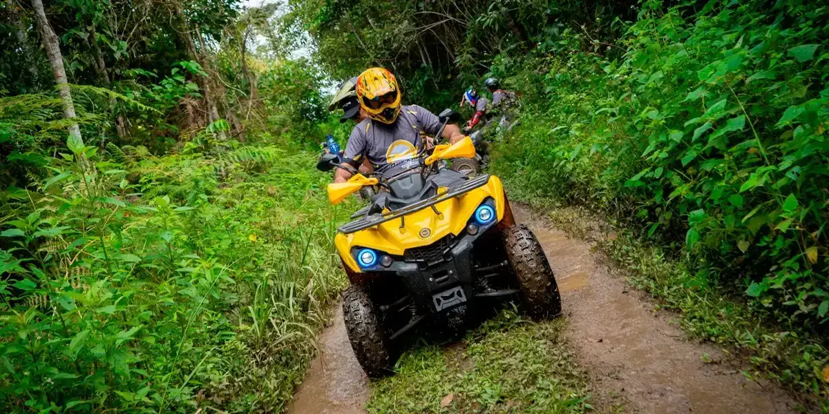 Partes de una cuatrimoto makiba