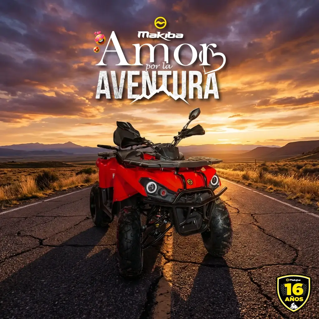 Banner makiba febrero